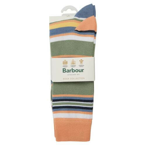 Summer Stripe Socks