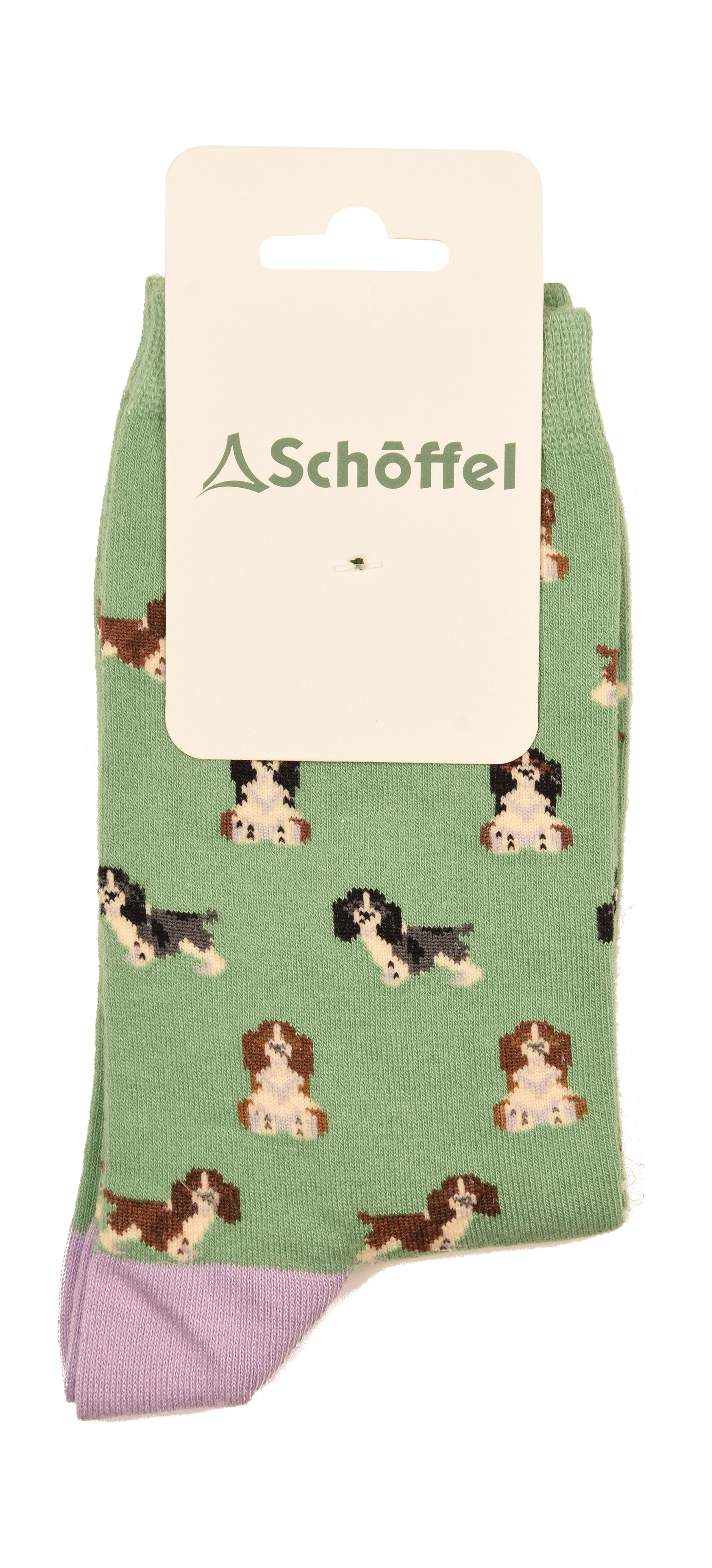 Socks – Green Spaniel